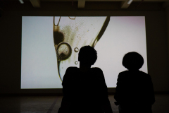 dotLand2_Foto-Opening_Cesolari_23