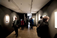 Exploring-Resilience_Opening_11