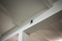 Exploring-Resilience-Lab_Installatiion-view_4